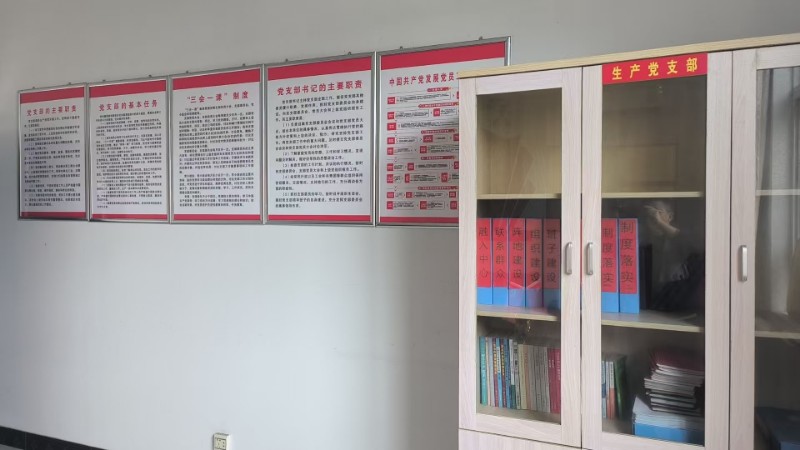 生产党支部制度及档案柜