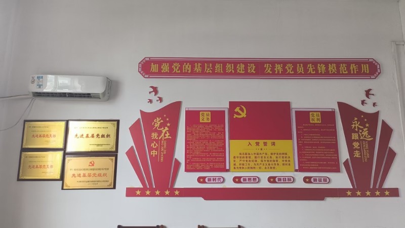 生产党支部党建背景墙及荣誉奖牌